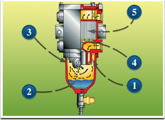 5stage_info